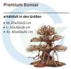 Premium Bonsai Baum M 20x12x20 cm Wurzel Holz Aquarium Deko Produktbild-Vorschau 2