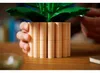 LEGO Botanicals Skrzydłokwiat, Zestaw do budowania, 18 Podgląd zdjęcia produktu 18