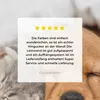 MuchoWow® - Leinwandbilder - Haustiere - Hund - Katze - Produktbild-Vorschau 8