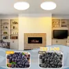 ZMH LED plafondlamp, warm wit, 12W, IP44, 21cm, rond, Productafbeelding-voorbeeld 21