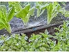 GARDENA 13321-20 GARDENA Düse für Tropfschlauch Podgląd zdjęcia produktu 14