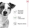 Lebensmittel für Erwachsene Royal Canin Mini Adult 12 x 85 Produktbild-Vorschau 8