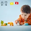 10442 - LEGO DUPLO - Familles d'animaux sauvages : Voir les images du produit 16