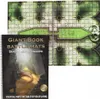 A Giant Book of Battle Mats: Dragon Lairs & Dungeons – Náhled obrázku produktu 2