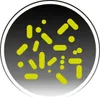 Sanitas | Tabletki biologiczne do oczyszczalni - 52 sztuki Podgląd zdjęcia produktu 2