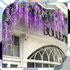EDIBAZZAR | 12 kusov Wisteria Wisteria pre girlandy závesné Náhľad obrázku produktu 3