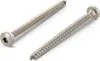 Spanplattenschraube Halbrundkopf 4.0x 40 Vollgewinde Torx Produktbild-Vorschau 5