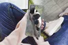 MuchoWow® Handyhülle Schutzhülle Hülle für Samsung Galaxy Produktbild-Vorschau 3