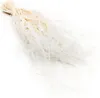 Federgras Getrocknete - (Stipa pennata) - Gebleicht Produktbild-Vorschau 1