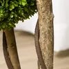 HOMCOM Kunstplant, 90 cm hoge buxus in pot, groen Productafbeelding-voorbeeld 9