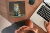 MuchoWow® Mauspad Mousepad Fuchs - Makro - Rot 20x20 cm - Produktbild-Vorschau 3