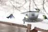Krmítko pro ptáky BIRDYFEED ROUND šedý kámen 29,4cm Náhled obrázku produktu 25