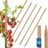 KOTARBAU® Sada 5 kusů opěrných tyčí 50 cm pro rajčata a Náhled obrázku produktu 1