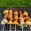 Grill, Holzkohlegrill, tragbarer Grill, Brikettgrill, Produktbild-Vorschau 9
