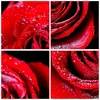 Wanduhr - Rund - Glasuhr - Rose Blume Blütenblätter Wasser Produktbild-Vorschau 8