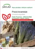 SAFLAX - pravá levandule - Lavandula angustifolia - 150 Náhled obrázku produktu 1