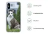 MuchoWow® Handyhülle Schutzhülle Hülle für iPhone X Katze - Produktbild-Vorschau 7