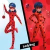 A split image showing two versions of the Ladybug doll, one on a blue sky background and the other on a red background with a small character above her. The word 'Ladybug' is visible at the bottom right. Produktbild-Vorschau