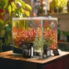 Set CO2 con elettrovalvola + bottiglia da 2 litri, Aquario Anteprima dell’immagine prodotto 5
