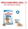 ROYAL CANIN Medium Starter Mother&Babydog 4kg Karma Sucha Podgląd zdjęcia produktu 9