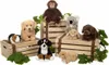 A collection of stuffed animals arranged on wooden crates with some greenery. Náhled obrázku produktu