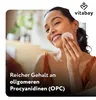 OPC Traubenkernextrakt 1000 mg – 120 vegane Tabletten – Produktbild-Vorschau 5