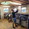 Sticky Trap Bremsenfallen und Fliegenfallen Leim 0,5 Liter Produktbild-Vorschau 8
