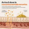 Curcumina Pura 60 Capsule - Integratore Curcuma e Curcumina Anteprima dell’immagine prodotto 6