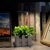 LED světlo pro pěstování rostlin, světlo pro rostliny, Náhled obrázku produktu 6