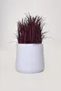 VIVANNO Blumentopf Fiberglas VEKRA Rund, Weiß matt - 55x50 Produktbild-Vorschau 7