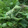 Rappa Plüschfrosch umweltfreundliches Kuscheltier 19 cm Produktbild-Vorschau 4