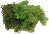 Islandmoos Grün 400g - Natürliches Bastelmoos für Produktbild-Vorschau 1