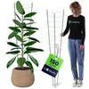 KADAX – podpórka dla roślin, 150 cm, 1 sztuka, stalowa Podgląd zdjęcia produktu 1