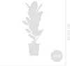 Bloomique - Ficus Elastica Robusta - Gummibaum - Produktbild-Vorschau 8