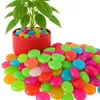 Kamienie świecące fluorescencyjne kamyki kamyczki 100 szt Podgląd zdjęcia produktu 1