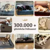 A collage of dogs sleeping in various dog beds, with a large text overlay celebrating "300.000+ glückliche Fellnasen!" Produktbild-Vorschau