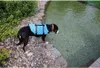 Dog Swimmer plávacia vesta pre psa modrá, M Náhľad obrázku produktu 2