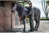 BalenO 578B Regenjacke Arras Flexothane grün XXL Produktbild-Vorschau 8