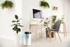 Domo Chillizz, 204 mm, 204 mm, 380 mm Produktbild-Vorschau 10