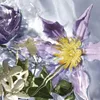 Guerlain Aqua Allegoria Flora Salvaggia, 75ml Voir les images du produit 11