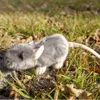 Souris/rat en peluche, 16 cm, ÉCOLOGIQUE Voir les images du produit 6