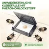 Speckkäfer Falle mit Pheromon-Lockstoff - 1x Falle -  Produktbild-Vorschau 3