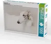 Calvendo Ein Motiv aus dem Kalender Windhunde 2017 1000 Produktbild-Vorschau 1