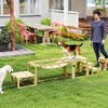 Súprava PawHut na agility pre psov, konštrukcia na výcvik Náhľad obrázku produktu 2