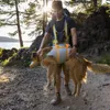Ruffwear BackTrak™ Evakuierungsset für Hunde Cloudburst Produktbild-Vorschau 13