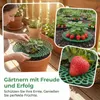 15er Set Erdbeerstützen aus Kunststoff – abnehmbares Produktbild-Vorschau 5