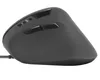 Speedlink Maus PIAVO. Ergonomie Vertikal. USB. schwarz Produktbild-Vorschau 5