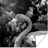 MuchoWow® Poster Flamingo - Dschungel - Papagei - Schwarz - Produktbild-Vorschau 1