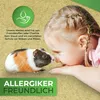 Nagerteppich aus 100% Hanf auf Rolle mit 25m Länge, 60cm Produktbild-Vorschau 5