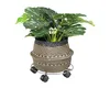 Rouleau pour plantes Wagner acier chromé Ø 30 cm capacité Voir les images du produit 4